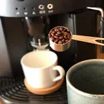 Loeberbauer, 图克斯