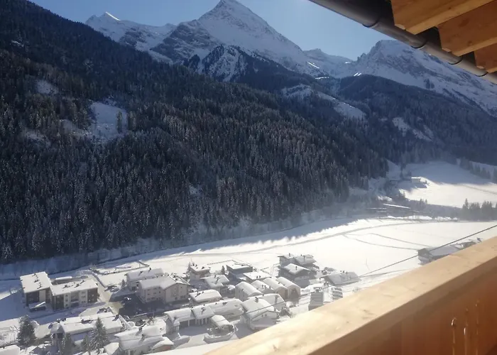 Loeberbauer, * تكس